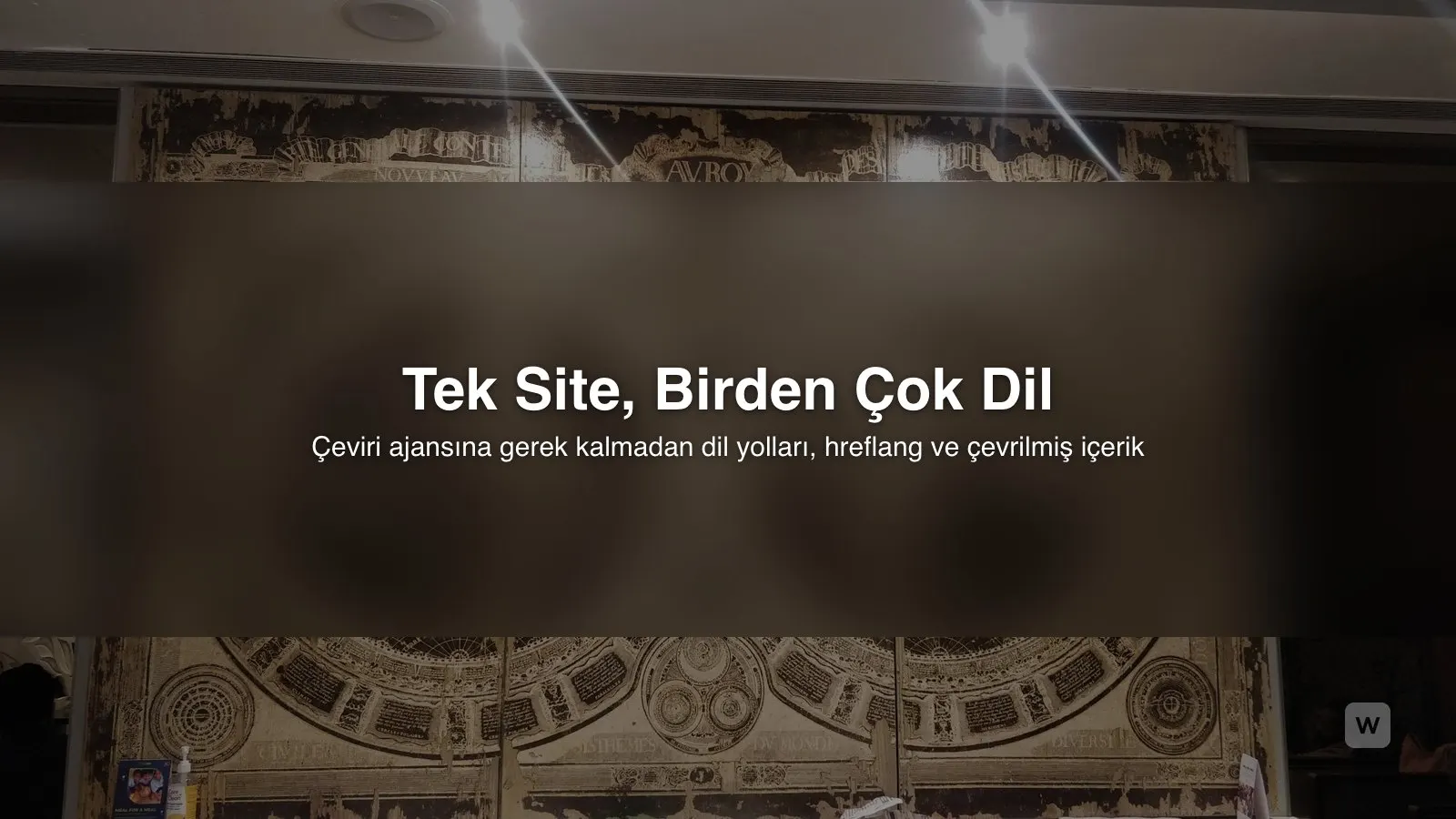 Çok Dilli Web Sitesi Nasıl Yapılır? Yapay Zeka ile Rehber