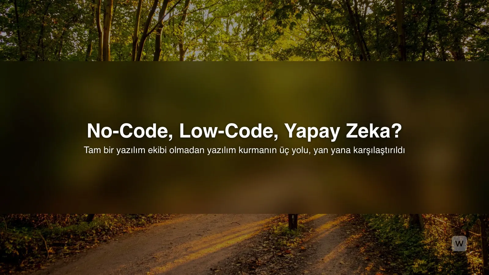 No-Code mu, Low-Code mu, Yapay Zeka mı? Temel Farklar