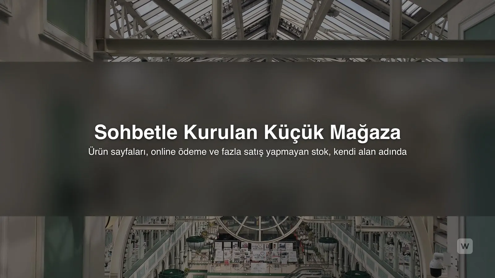 E-Ticaret Sitesi Kurma: Yapay Zeka ile Küçük Mağaza